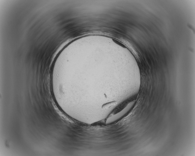 X0000096711100200803041336