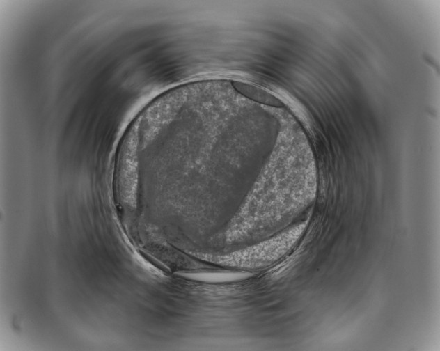 X0000096711102200803041336