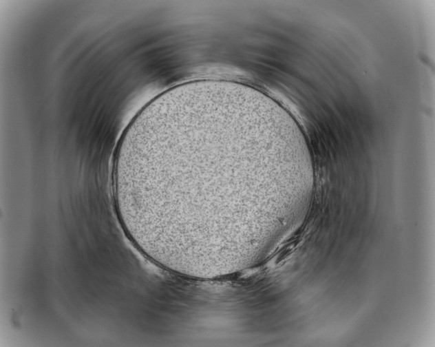 X0000096711103200803041336