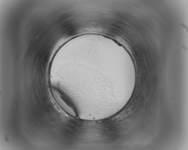 X0000096711104200803041336