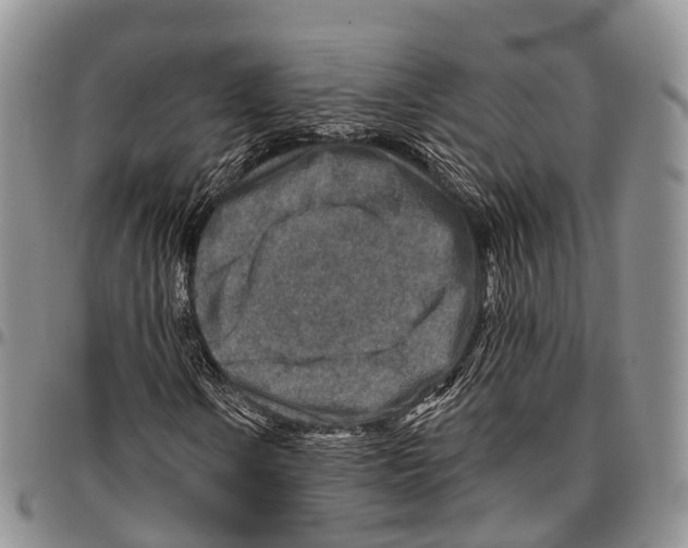 X0000096711106200803041335