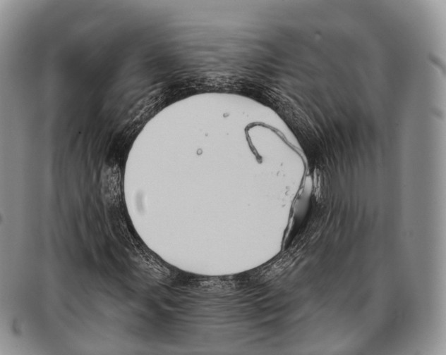 X0000096711107200803041335