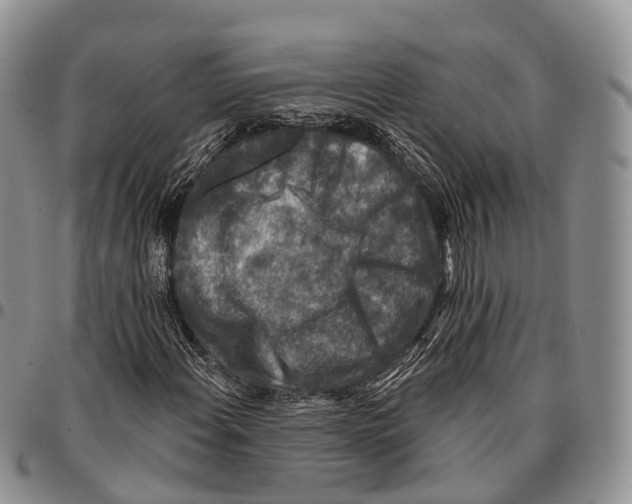 X0000096711108200803041335