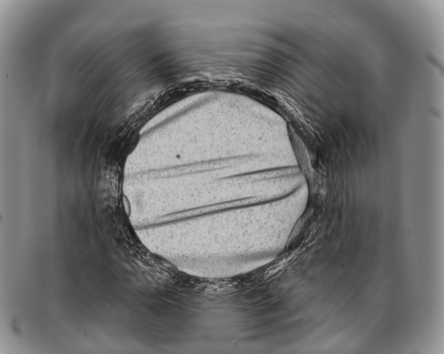 X0000096711110200803041335