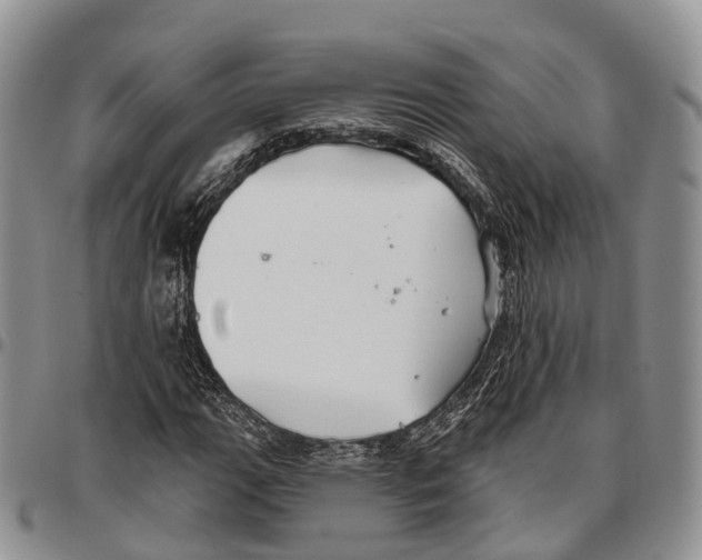 X0000096711111200803041335