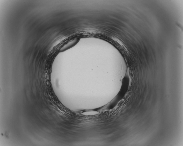 X0000096711112200803041335