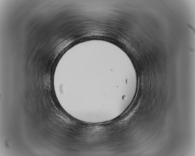 X0000096711113200803041335