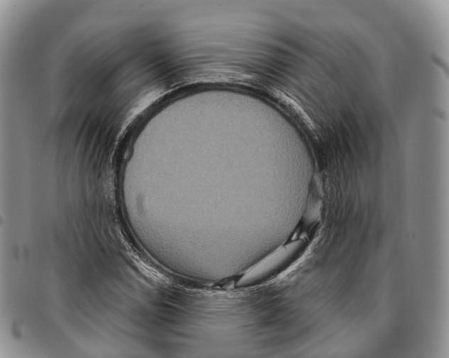 X0000096711114200803041335