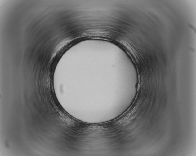 X0000096711115200803041335