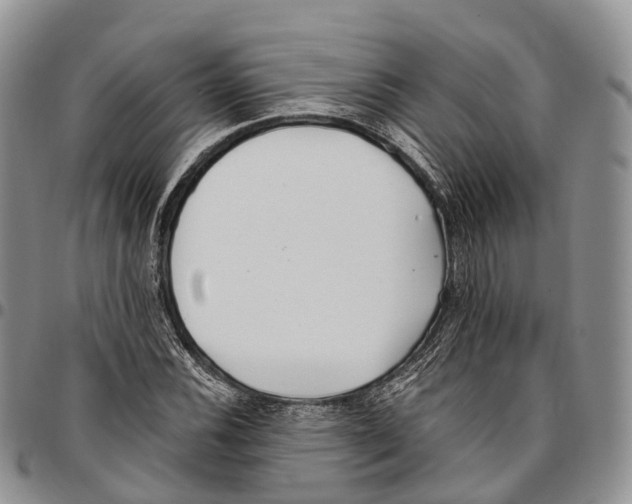 X0000096711116200803041335