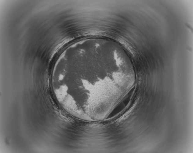 X0000096711117200803041335