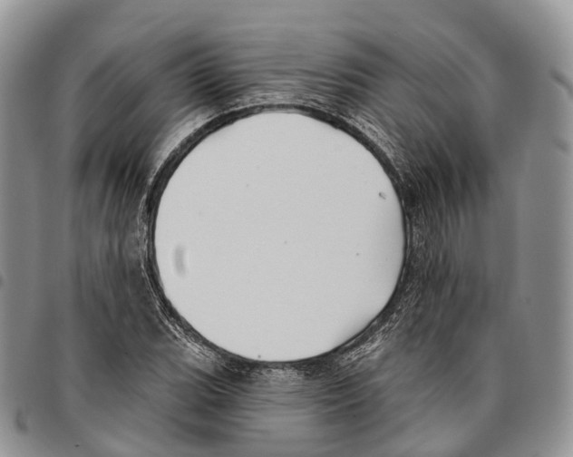 X0000096711119200803041335