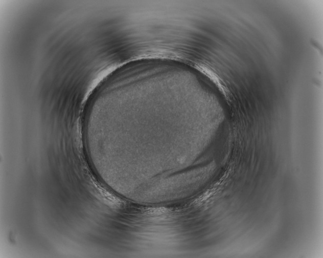 X0000096711120200803041335