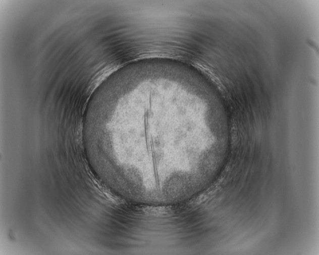 X0000096711121200803041335