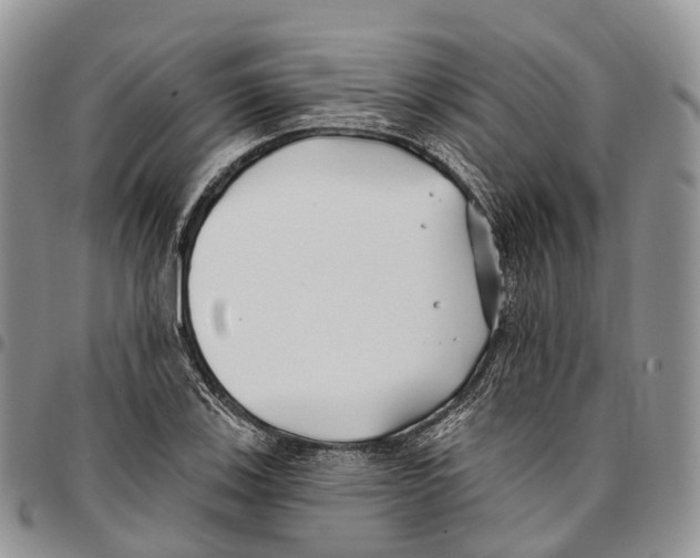 X0000096711123200803041335