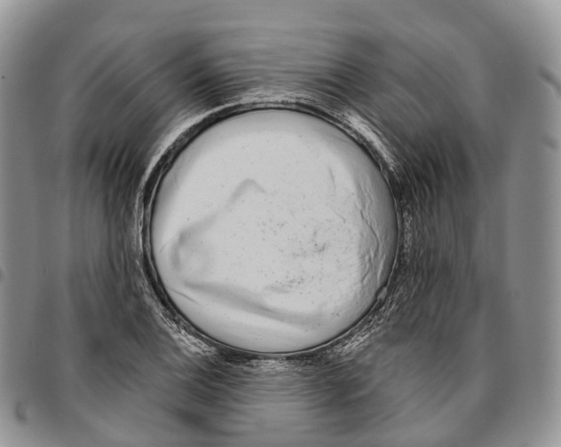 X0000096711124200803041335