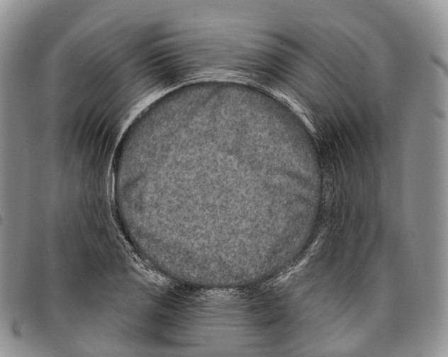 X0000096711125200803041335