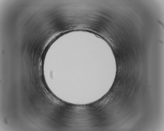 X0000096711126200803041335