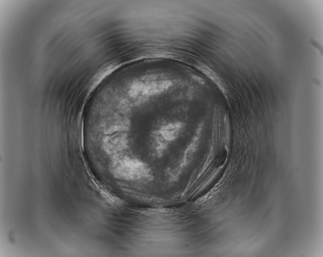 X0000096711127200803041335