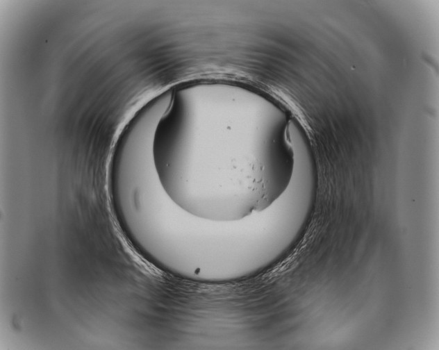 X0000096711128200803041335