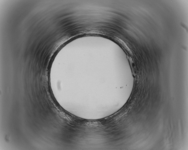 X0000096711133200803041335