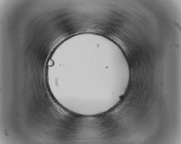 X0000096711135200803041335