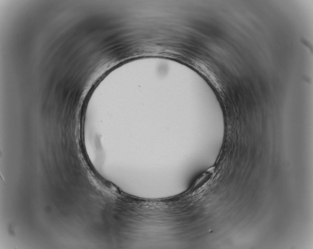 X0000096711136200803041335