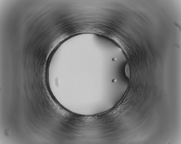 X0000096711139200803041336