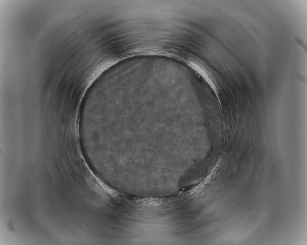 X0000096711141200803041336