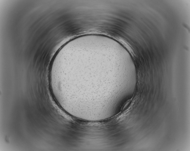 X0000096711142200803041336