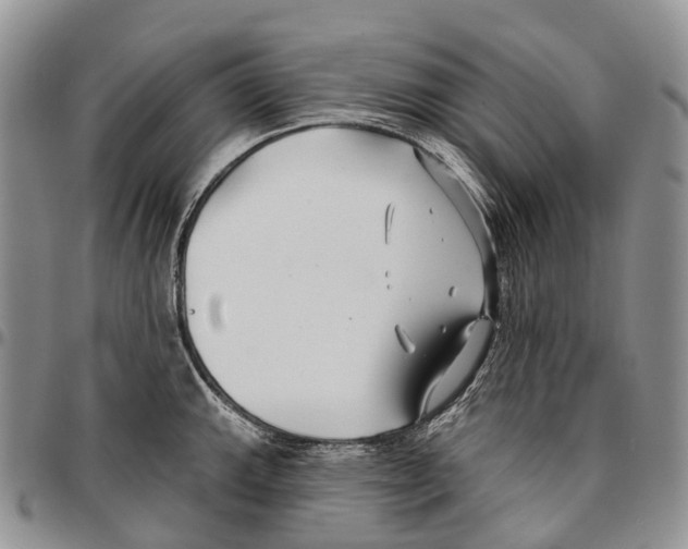 X0000096711143200803041336