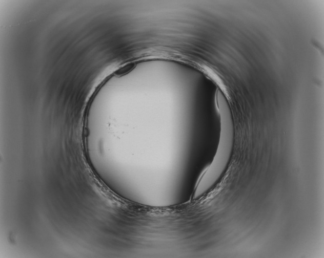 X0000096711146200803041336