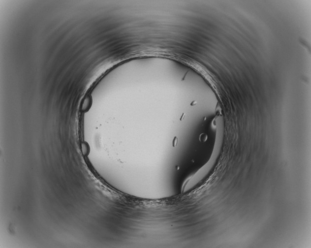 X0000096711147200803041336