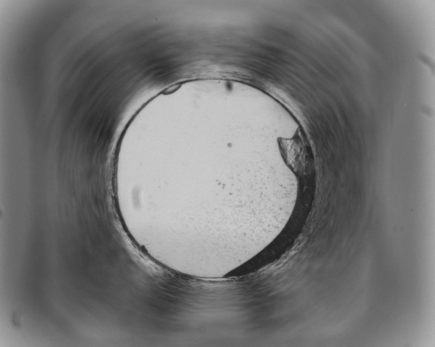 X0000096711152200803041336