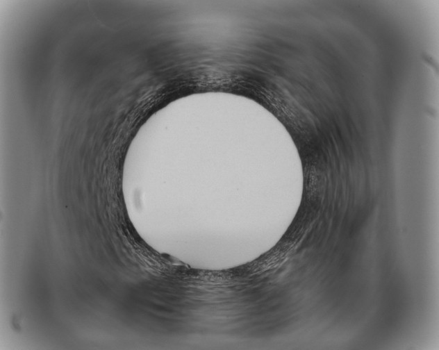 X0000096711153200803041335