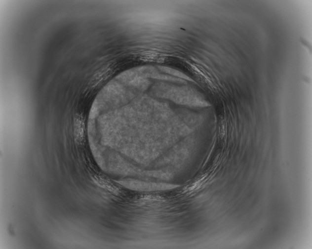 X0000096711154200803041335