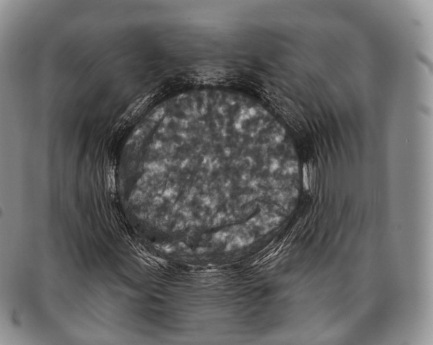 X0000096711155200803041335