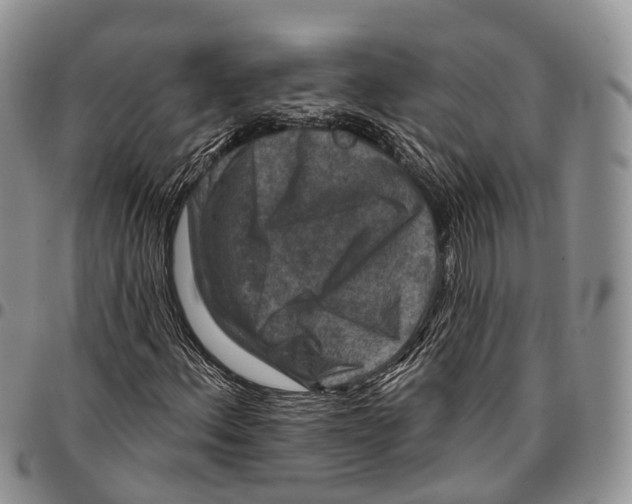 X0000096711156200803041335