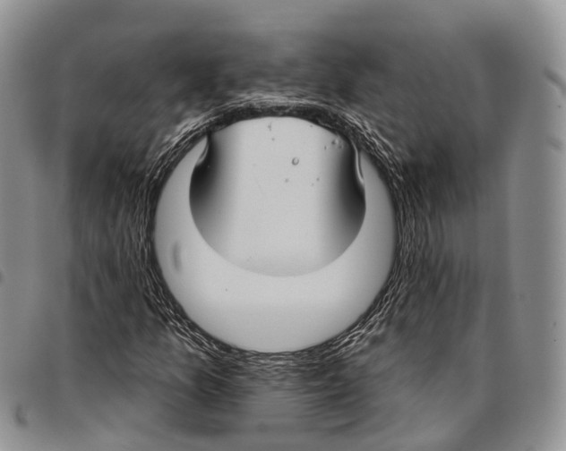 X0000096711157200803041335