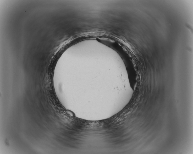 X0000096711160200803041335