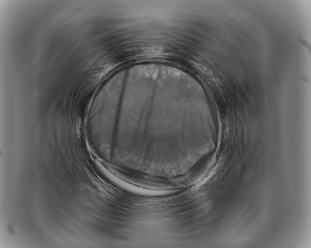 X0000096711161200803041335