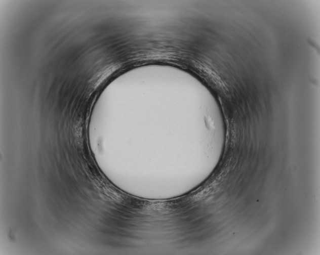 X0000096711162200803041335