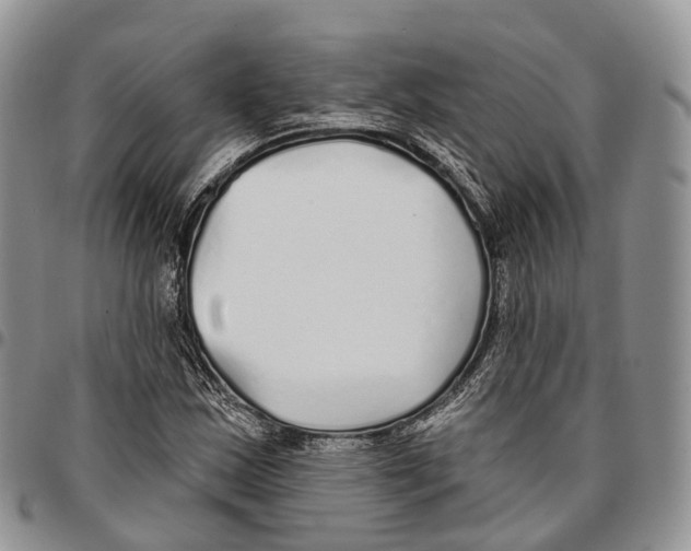 X0000096711163200803041335