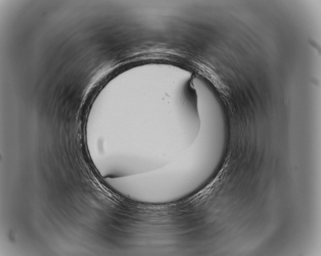 X0000096711164200803041335