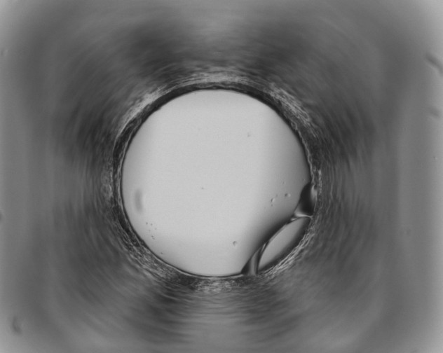 X0000096711165200803041335