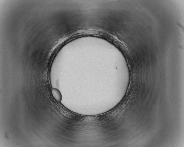 X0000096711166200803041335