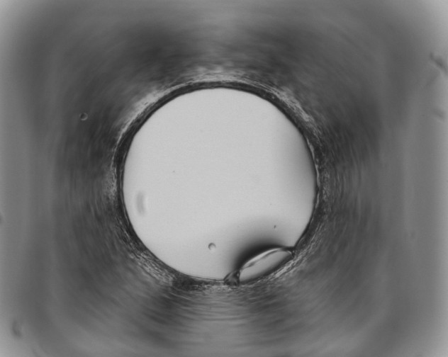 X0000096711167200803041335