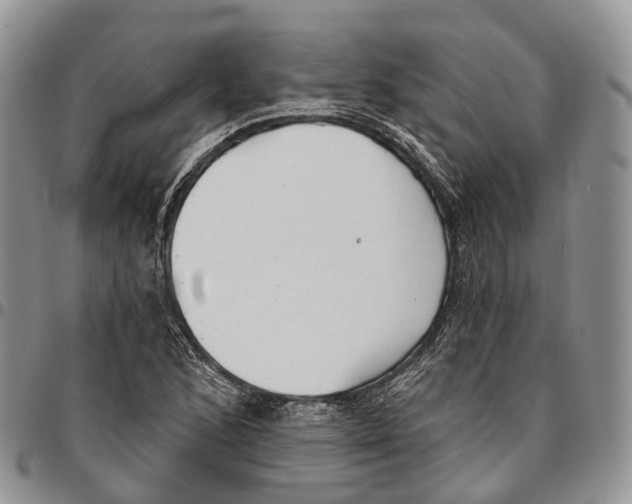 X0000096711168200803041335