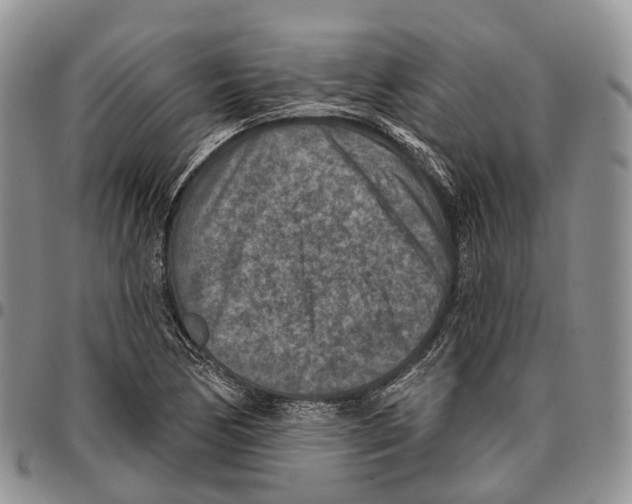 X0000096711170200803041335