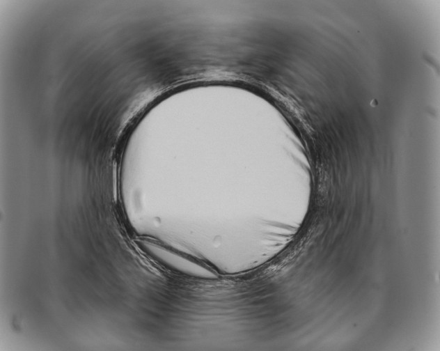 X0000096711171200803041335